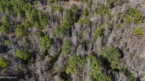 Stratton Rd Road, Union, MS 39365 photo 17