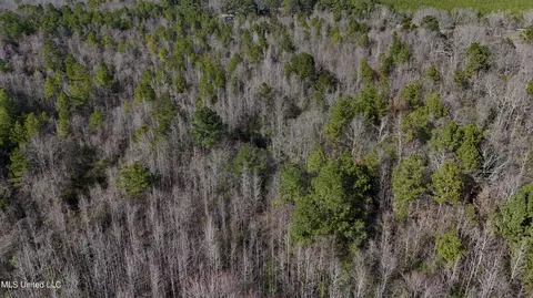 Stratton Rd Road, Union, MS 39365 photo 15