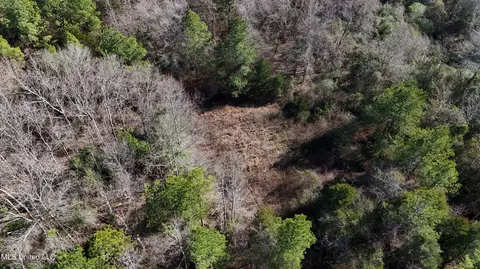 Stratton Rd Road, Union, MS 39365 photo 4