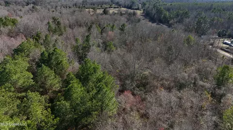 Stratton Rd Road, Union, MS 39365 photo 7