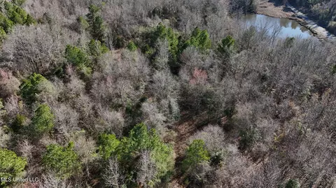 Stratton Rd Road, Union, MS 39365 photo 9