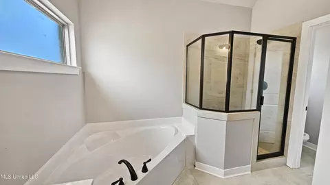 Bath - 7749 Melisa Dr, Walls, MS 38680 photo 2 of 4