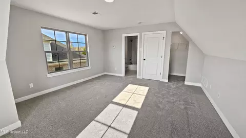 Other - 7749 Melisa Dr, Walls, MS 38680 photo 5 of 5