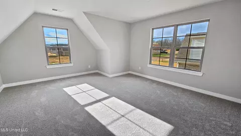 Other - 7749 Melisa Dr, Walls, MS 38680 photo 4 of 5