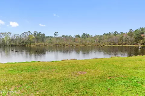 View/Area - 131 Partins Rd, Lucedale, MS 39452 photo 1 of 7