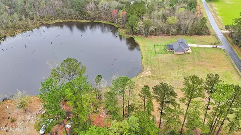 View/Area - 131 Partins Rd, Lucedale, MS 39452 photo 4 of 7