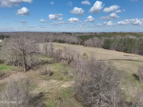 4840 Cayuga Rd, Utica, MS 39175 photo 6