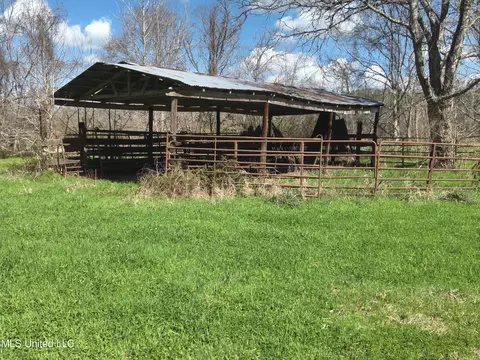 4840 Cayuga Rd, Utica, MS 39175 photo 9