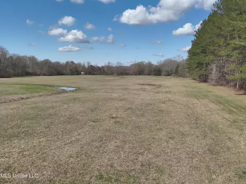 4840 Cayuga Rd, Utica, MS 39175 photo 5
