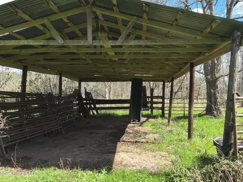 4840 Cayuga Rd, Utica, MS 39175 photo 10