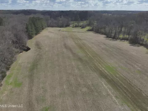 4840 Cayuga Rd, Utica, MS 39175 photo 8