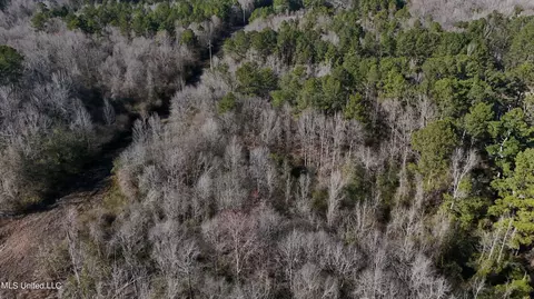 Stratton Rd Road, Union, MS 39365 photo 5