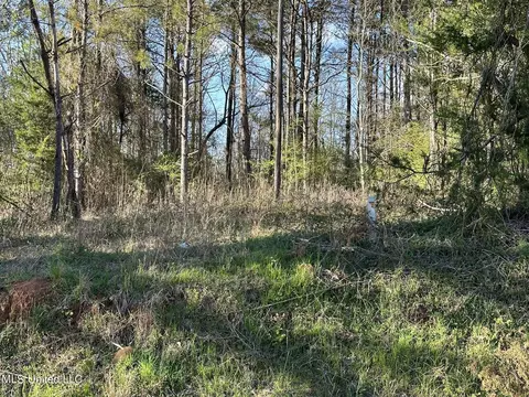 Stratton Rd Road, Union, MS 39365 photo 2
