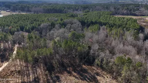 Stratton Rd Road, Union, MS 39365 photo 6
