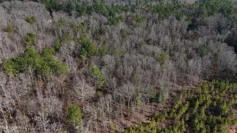 Stratton Rd Road, Union, MS 39365 photo 7