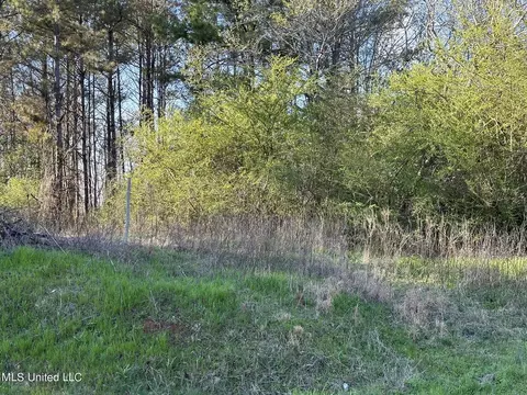 Stratton Rd Road, Union, MS 39365