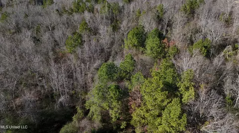 Stratton Rd Road, Union, MS 39365 photo 4