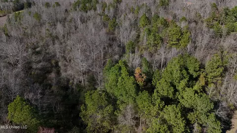 Stratton Rd Road, Union, MS 39365 photo 3