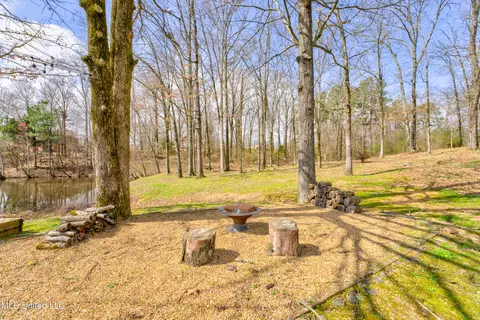 Exterior - 2265 Jaybird Rd, Hernando, MS 38632 photo 10 of 10