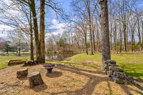Exterior - 2265 Jaybird Rd, Hernando, MS 38632 photo 9 of 10