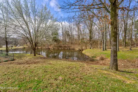View/Area - 2265 Jaybird Rd, Hernando, MS 38632 photo 1 of 1