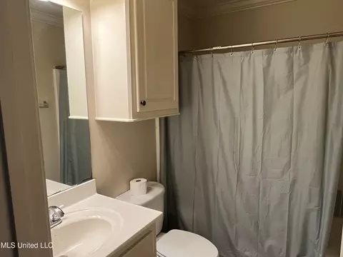 Bath - 533 Roxbury Pl, Florence, MS 39073 photo 4 of 4