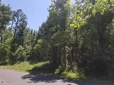 0 Woodman Ave, Pass Christian, MS 39571