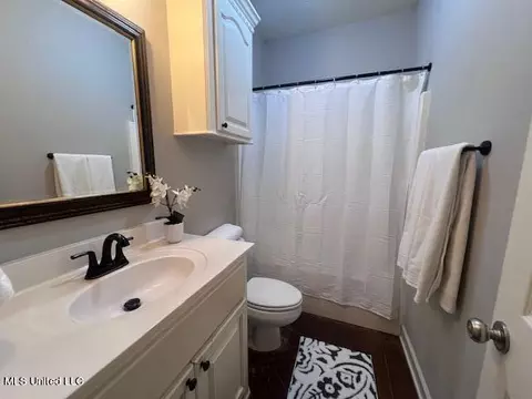 Bath - 217 Tudor Cir, Brandon, MS 39042 photo 5 of 6