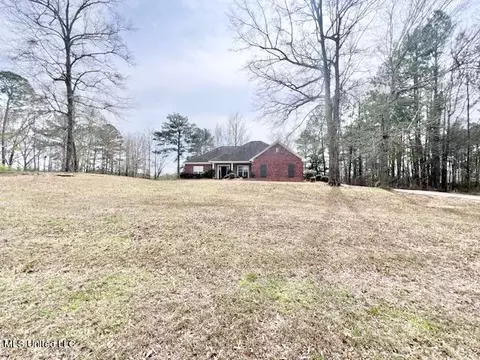 Exterior - 217 Tudor Cir, Brandon, MS 39042 photo 3 of 4