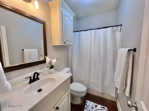 Bath - 217 Tudor Cir, Brandon, MS 39042 photo 6 of 6