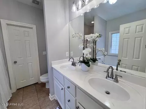 Bath - 217 Tudor Cir, Brandon, MS 39042 photo 2 of 6
