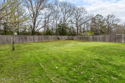 Exterior - 419 Julee Cir, Brandon, MS 39042 photo 9 of 10