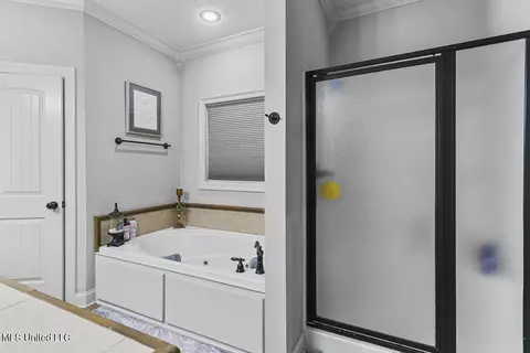 Bath - 419 Julee Cir, Brandon, MS 39042 photo 1 of 3