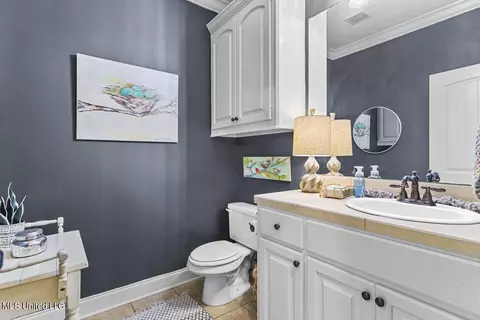 Bath - 419 Julee Cir, Brandon, MS 39042 photo 2 of 3