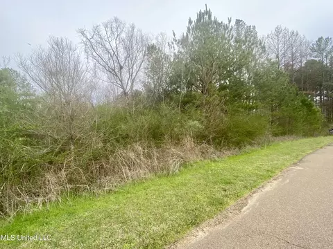 Edward Owens Dr, Terry, MS 39170
