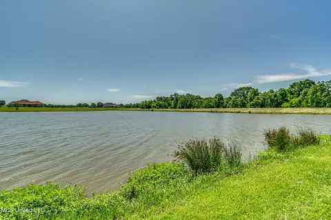 View/Area - 332 Cane Creek Rd, Flora, MS 39071 photo 1 of 2