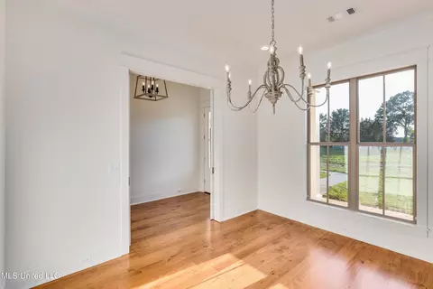 Other - 332 Cane Creek Rd, Flora, MS 39071 photo 2 of 24