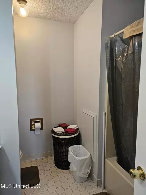 Bath - 6235 Stateline Rd, Walls, MS 38680 photo 3 of 3