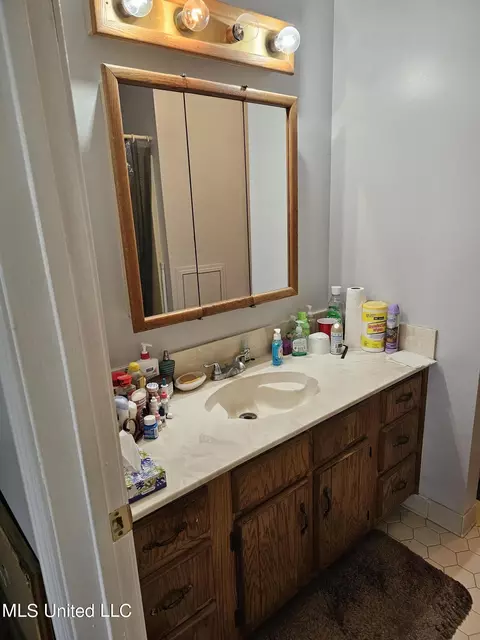 Bath - 6235 Stateline Rd, Walls, MS 38680 photo 2 of 3
