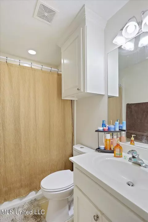 Bath - 291 Cherry Bark Dr, Brandon, MS 39047 photo 2 of 2