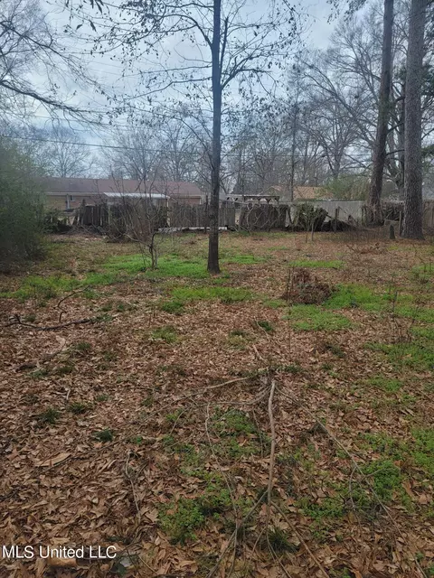 331 Barrow St, Pearl, MS 39208 photo 10