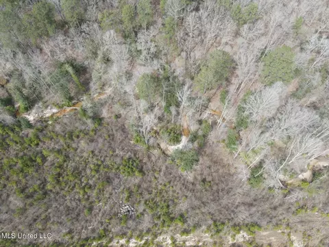Homochitto Road, Gloster, MS 39638 photo 30