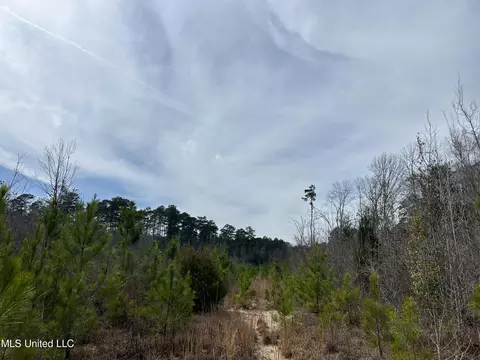 Homochitto Road, Gloster, MS 39638 photo 13