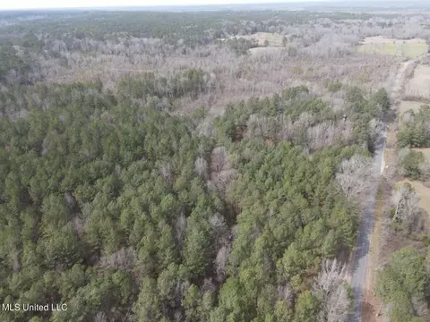 Homochitto Road, Gloster, MS 39638 photo 20