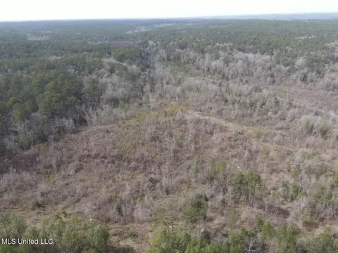 Homochitto Road, Gloster, MS 39638 photo 24