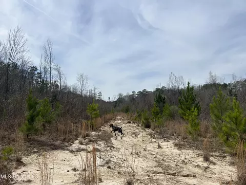 Homochitto Road, Gloster, MS 39638 photo 11