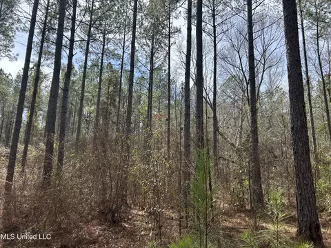 Homochitto Road, Gloster, MS 39638 photo 18