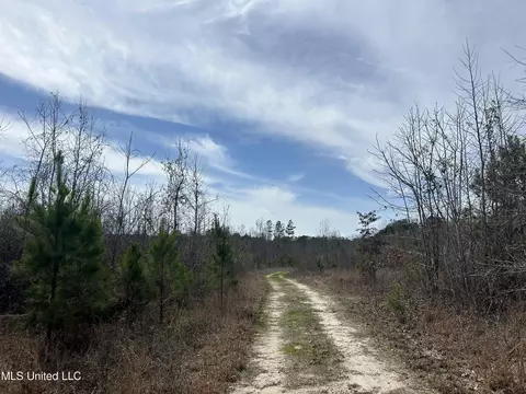 Homochitto Road, Gloster, MS 39638 photo 6