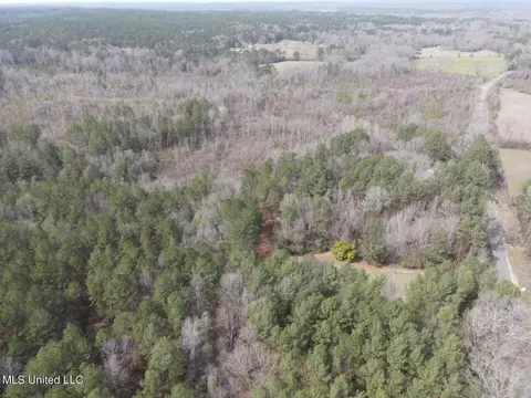 Homochitto Road, Gloster, MS 39638 photo 21