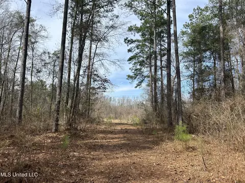 Homochitto Road, Gloster, MS 39638 photo 3